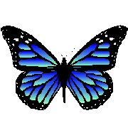 bluebutterfly.gif